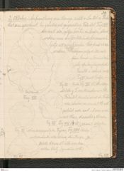 Seite 43, Tagebuch "Palästina (Tagebuch)" (NHMW-PRAE-BBB-80)